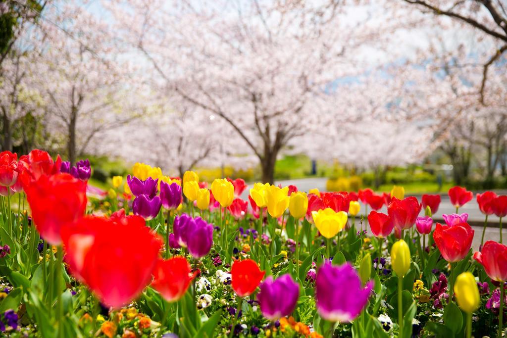 Tresta Shirayama Hotel Takamatsu Eksteriør billede